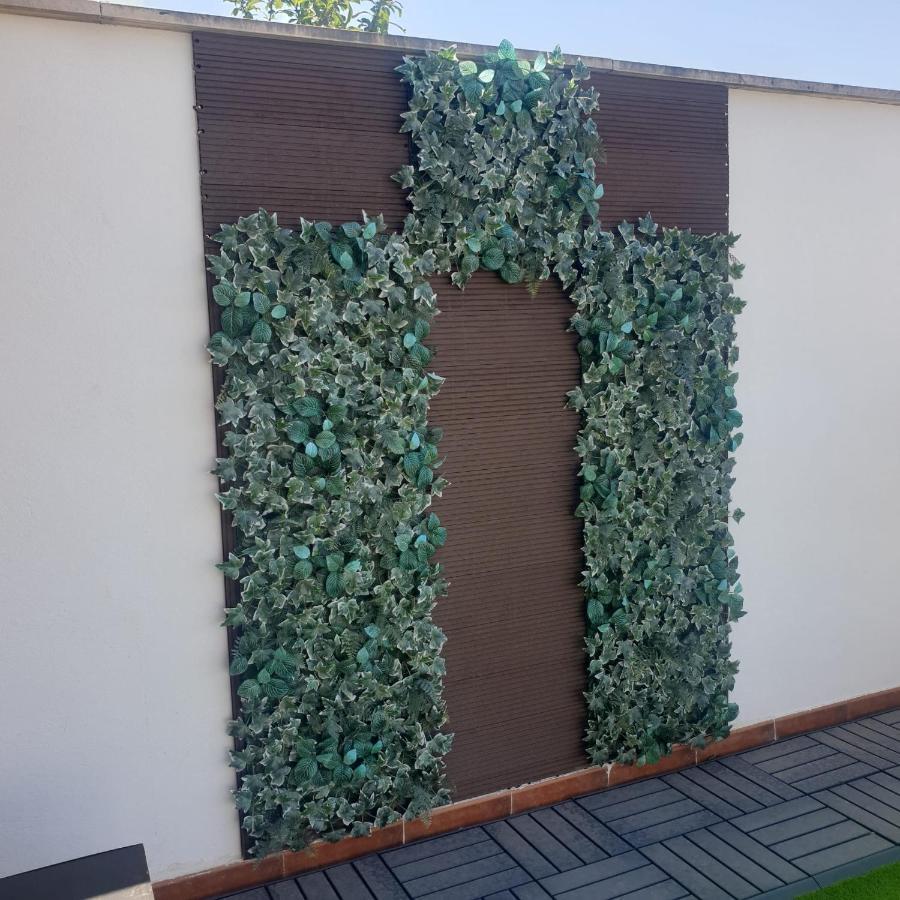 Espectacular Atico De 2 Dormitorios Con Garaje Y Terraza Privada De 30 M2 Albacete Exteriör bild